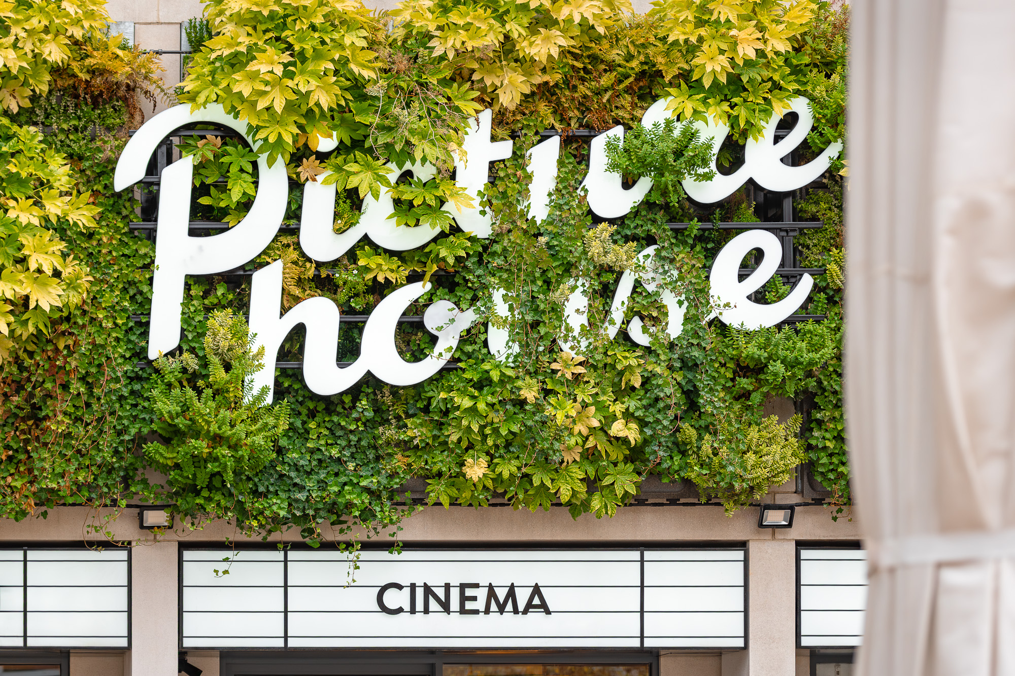 Epsom Picturehouse